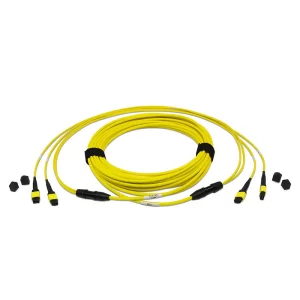 Patchcord MPO Trunks